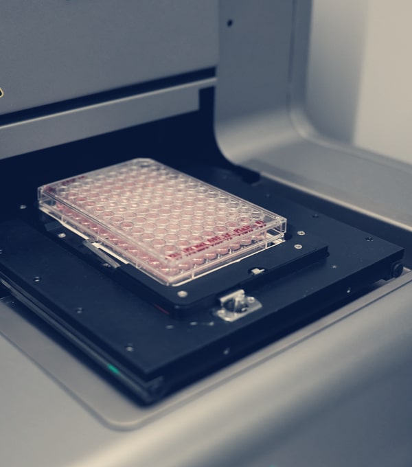 Analytical Services and Quality ElevateBio